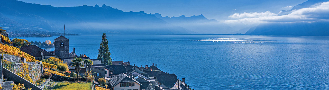 lavauxweb